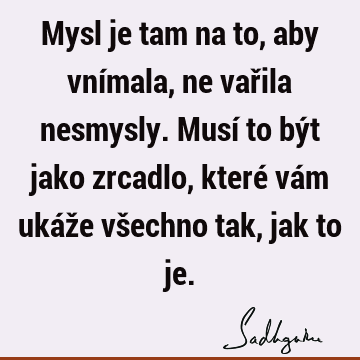 Mysl je tam na to, aby vnímala, ne vařila nesmysly. Musí to být jako zrcadlo, které vám ukáže všechno tak, jak to