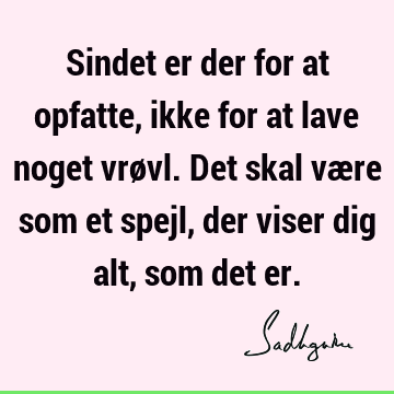 Sindet er der for at opfatte, ikke for at lave noget vrøvl. Det skal være som et spejl, der viser dig alt, som det