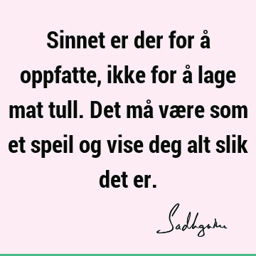 Sinnet er der for å oppfatte, ikke for å lage mat tull. Det må være som et speil og vise deg alt slik det