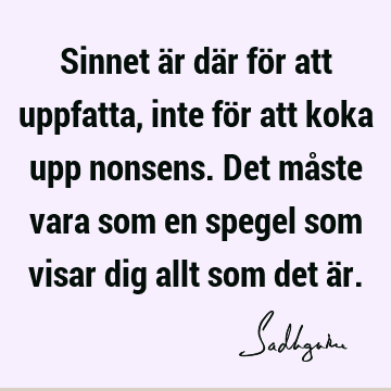 Sinnet är där för att uppfatta, inte för att koka upp nonsens. Det måste vara som en spegel som visar dig allt som det ä