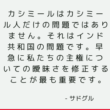 カシミールはカシミール人だけの問題ではありません。 それはインド共和国の問題です。 早急に私たちの主権についての曖昧さを修正することが最も重要です。