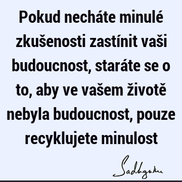 Pokud necháte minulé zkušenosti zastínit vaši budoucnost, staráte se o to, aby ve vašem životě nebyla budoucnost, pouze recyklujete