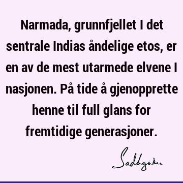 Narmada, grunnfjellet i det sentrale Indias åndelige etos, er en av de mest utarmede elvene i nasjonen. På tide å gjenopprette henne til full glans for