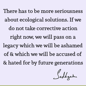 There has to be more seriousness about ecological solutions. If we do not take corrective action right now, we will pass on a legacy which we will be ashamed