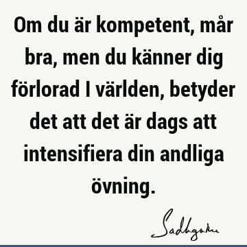 Om du är kompetent, mår bra, men du känner dig förlorad i världen, betyder det att det är dags att intensifiera din andliga ö