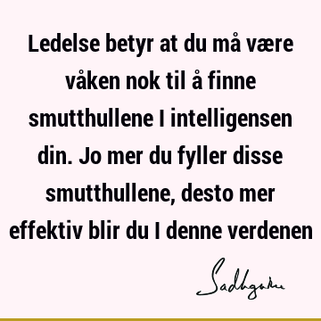 Ledelse betyr at du må være våken nok til å finne smutthullene i intelligensen din. Jo mer du fyller disse smutthullene, desto mer effektiv blir du i denne