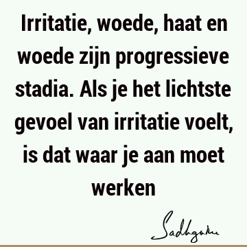 Irritatie, woede, haat en woede zijn progressieve stadia. Als je het lichtste gevoel van irritatie voelt, is dat waar je aan moet