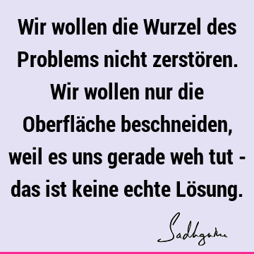 Wir wollen die Wurzel des Problems nicht zerstören. Wir wollen nur die Oberfläche beschneiden, weil es uns gerade weh tut - das ist keine echte Lö