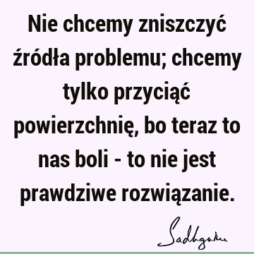 Nie chcemy zniszczyć źródła problemu; chcemy tylko przyciąć powierzchnię, bo teraz to nas boli - to nie jest prawdziwe rozwią