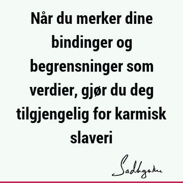 Når du merker dine bindinger og begrensninger som verdier, gjør du deg tilgjengelig for karmisk