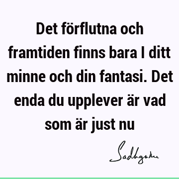 Det förflutna och framtiden finns bara i ditt minne och din fantasi. Det enda du upplever är vad som är just