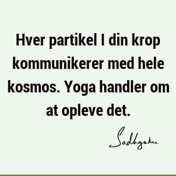 Hver partikel i din krop kommunikerer med hele kosmos. Yoga handler om at opleve