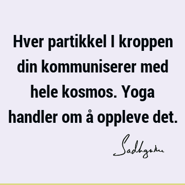 Hver partikkel i kroppen din kommuniserer med hele kosmos. Yoga handler om å oppleve