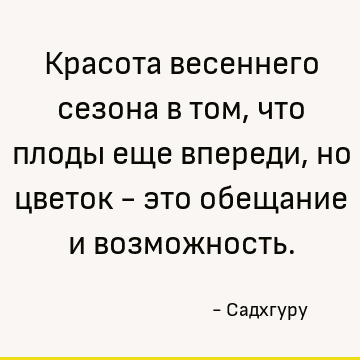 Красота весеннего сезона в том, что плоды еще впереди, но цветок - это обещание и возможность