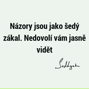 Názory jsou jako šedý zákal. Nedovolí vám jasně vidě