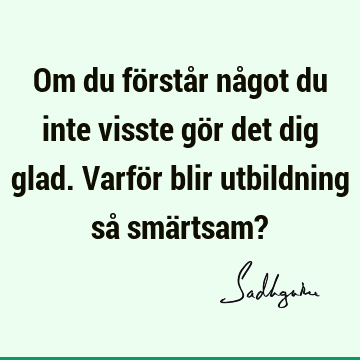 Om du förstår något du inte visste gör det dig glad. Varför blir utbildning så smärtsam?