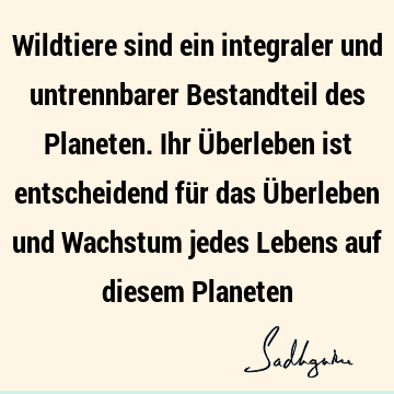 Wildtiere sind ein integraler und untrennbarer Bestandteil des Planeten. Ihr Überleben ist entscheidend für das Überleben und Wachstum jedes Lebens auf diesem P