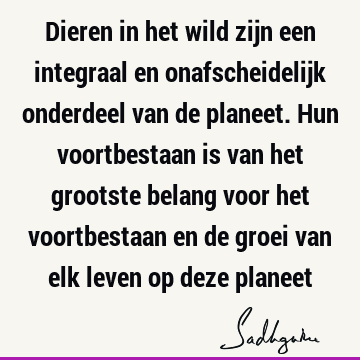 Dieren in het wild zijn een integraal en onafscheidelijk onderdeel van de planeet. Hun voortbestaan is van het grootste belang voor het voortbestaan en de