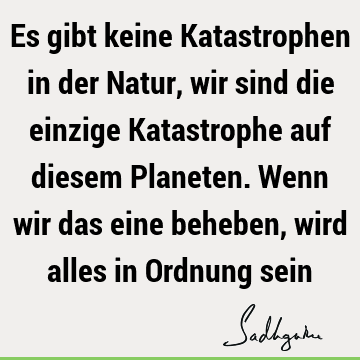 Es gibt keine Katastrophen in der Natur, wir sind die einzige Katastrophe auf diesem Planeten. Wenn wir das eine beheben, wird alles in Ordnung