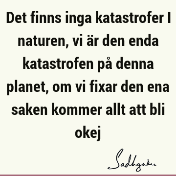 Det finns inga katastrofer i naturen, vi är den enda katastrofen på denna planet, om vi fixar den ena saken kommer allt att bli