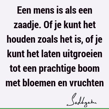 Een mens is als een zaadje. Of je kunt het houden zoals het is, of je kunt het laten uitgroeien tot een prachtige boom met bloemen en