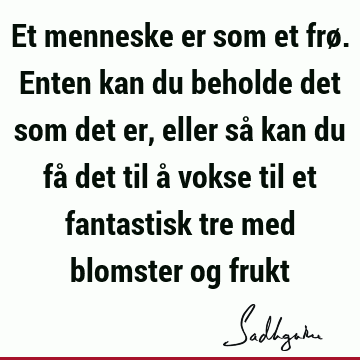 Et menneske er som et frø. Enten kan du beholde det som det er, eller så kan du få det til å vokse til et fantastisk tre med blomster og