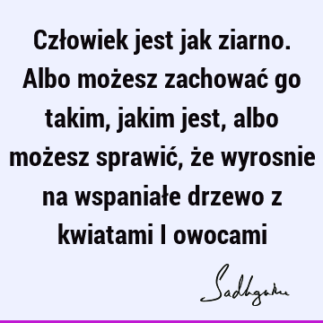 Człowiek jest jak ziarno. Albo możesz zachować go takim, jakim jest, albo możesz sprawić, że wyrosnie na wspaniałe drzewo z kwiatami i