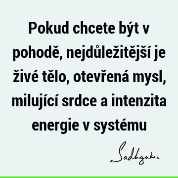 Pokud chcete být v pohodě, nejdůležitější je živé tělo, otevřená mysl, milující srdce a intenzita energie v systé