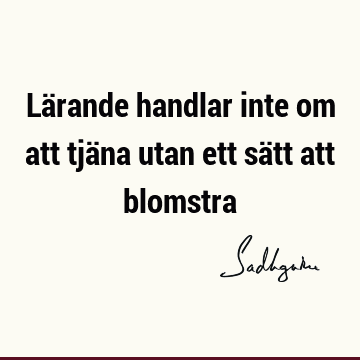 Lärande handlar inte om att tjäna utan ett sätt att