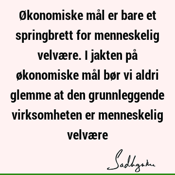 Økonomiske mål er bare et springbrett for menneskelig velvære. I jakten på økonomiske mål bør vi aldri glemme at den grunnleggende virksomheten er menneskelig