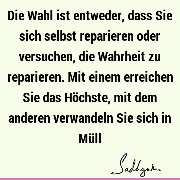 Die Wahl ist entweder, dass Sie sich selbst reparieren oder versuchen, die Wahrheit zu reparieren. Mit einem erreichen Sie das Höchste, mit dem anderen