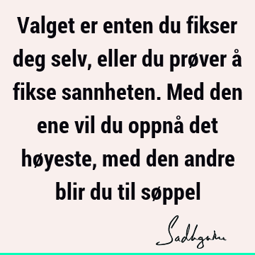 Valget er enten du fikser deg selv, eller du prøver å fikse sannheten. Med den ene vil du oppnå det høyeste, med den andre blir du til sø