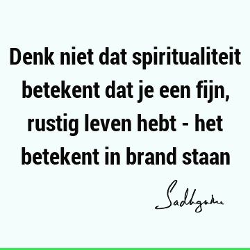 Denk niet dat spiritualiteit betekent dat je een fijn, rustig leven hebt - het betekent in brand