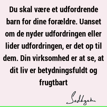 Du skal være et udfordrende barn for dine forældre. Uanset om de nyder udfordringen eller lider udfordringen, er det op til dem. Din virksomhed er at se, at