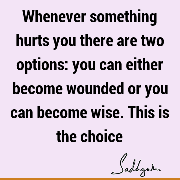 Whenever something hurts you there are two options: you can either become wounded or you can become wise. This is the