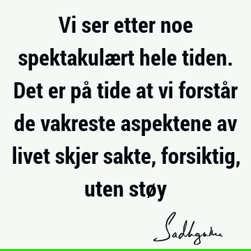 Vi ser etter noe spektakulært hele tiden. Det er på tide at vi forstår de vakreste aspektene av livet skjer sakte, forsiktig, uten stø