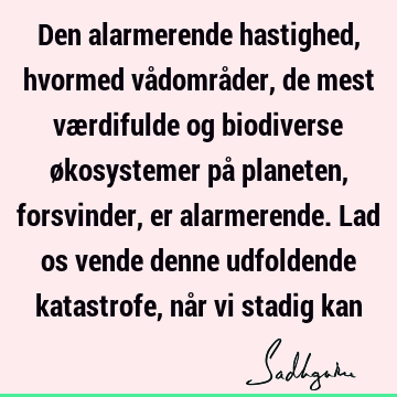 Den alarmerende hastighed, hvormed vådområder, de mest værdifulde og biodiverse økosystemer på planeten, forsvinder, er alarmerende. Lad os vende denne