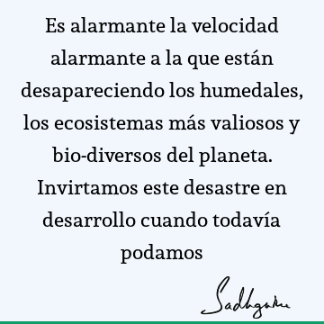 Es alarmante la velocidad alarmante a la que están desapareciendo los humedales, los ecosistemas más valiosos y bio-diversos del planeta. Invirtamos este