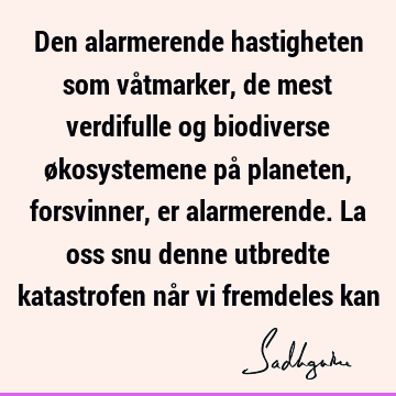 Den alarmerende hastigheten som våtmarker, de mest verdifulle og biodiverse økosystemene på planeten, forsvinner, er alarmerende. La oss snu denne utbredte