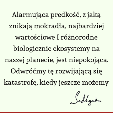 Alarmująca prędkość, z jaką znikają mokradła, najbardziej wartościowe i różnorodne biologicznie ekosystemy na naszej planecie, jest niepokojąca. Odwróćmy tę