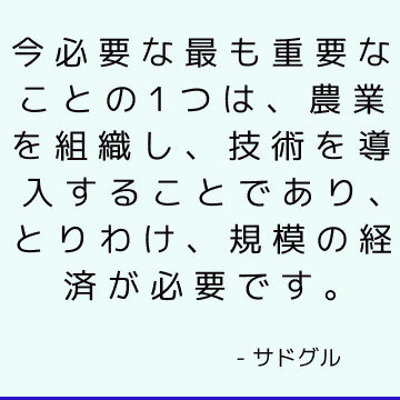 今必要な最も重要なことの1つは、農業を組織し、技術を導入することであり、とりわけ、規模の経済が必要です。