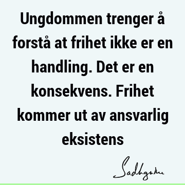 Ungdommen trenger å forstå at frihet ikke er en handling. Det er en konsekvens. Frihet kommer ut av ansvarlig