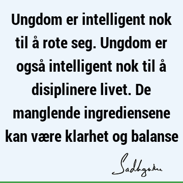 Ungdom er intelligent nok til å rote seg. Ungdom er også intelligent nok til å disiplinere livet. De manglende ingrediensene kan være klarhet og