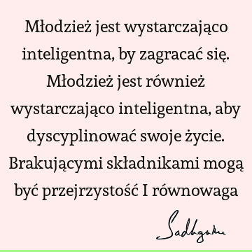 Młodzież jest wystarczająco inteligentna, by zagracać się. Młodzież jest również wystarczająco inteligentna, aby dyscyplinować swoje życie. Brakującymi skł