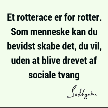 Et rotterace er for rotter. Som menneske kan du bevidst skabe det, du vil, uden at blive drevet af sociale