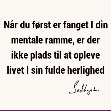 Når du først er fanget i din mentale ramme, er der ikke plads til at opleve livet i sin fulde