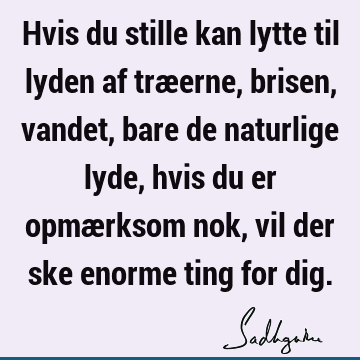 Hvis du stille kan lytte til lyden af træerne, brisen, vandet, bare de naturlige lyde, hvis du er opmærksom nok, vil der ske enorme ting for