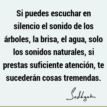 Si puedes escuchar en silencio el sonido de los árboles, la brisa, el agua, solo los sonidos naturales, si prestas suficiente atención, te sucederán cosas