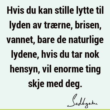 Hvis du kan stille lytte til lyden av trærne, brisen, vannet, bare de naturlige lydene, hvis du tar nok hensyn, vil enorme ting skje med