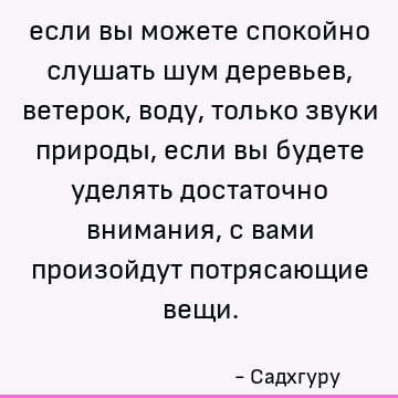 если вы можете спокойно слушать шум деревьев, ветерок, воду, только звуки природы, если вы будете уделять достаточно внимания, с вами произойдут потрясающие вещ